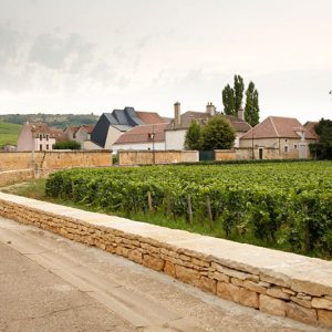 pierre-paysage-realisation-murs-de-vignes–vosne-romanee murs de parcelles de vignes à Vosne-Romanée réalisés par Pierre Mureuse de Bourgogne