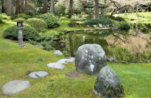 Allée en pas japonais dans un jardin d'inspiration nippone